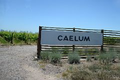 08-01 The Third Stop On Our Lujan de Cuyo Wine Tour Is The Boutique Caellum Winery Near Mendoza.jpg